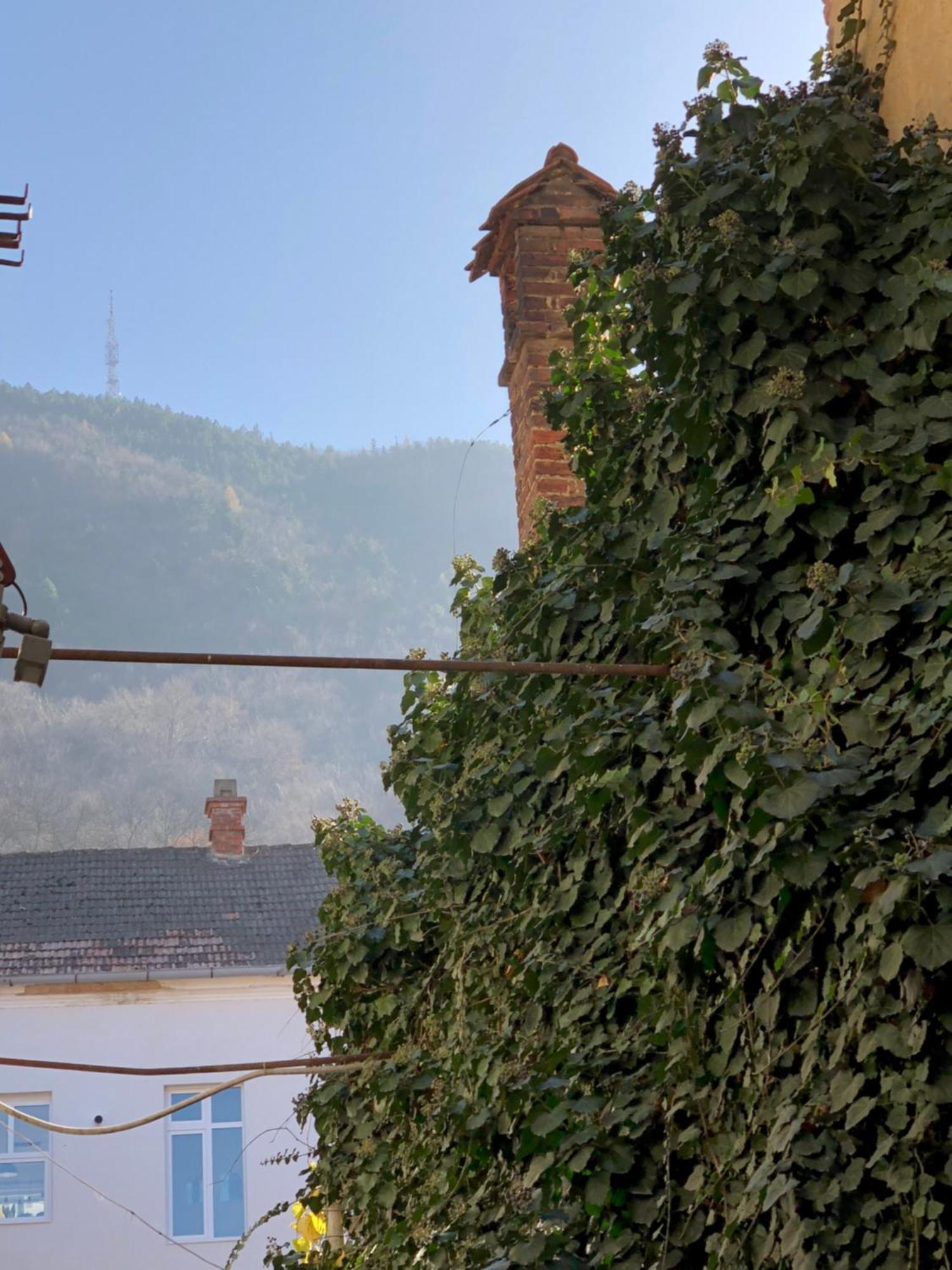 Charming Old Town Flat With Mountain View Apartment Brasov Bagian luar foto
